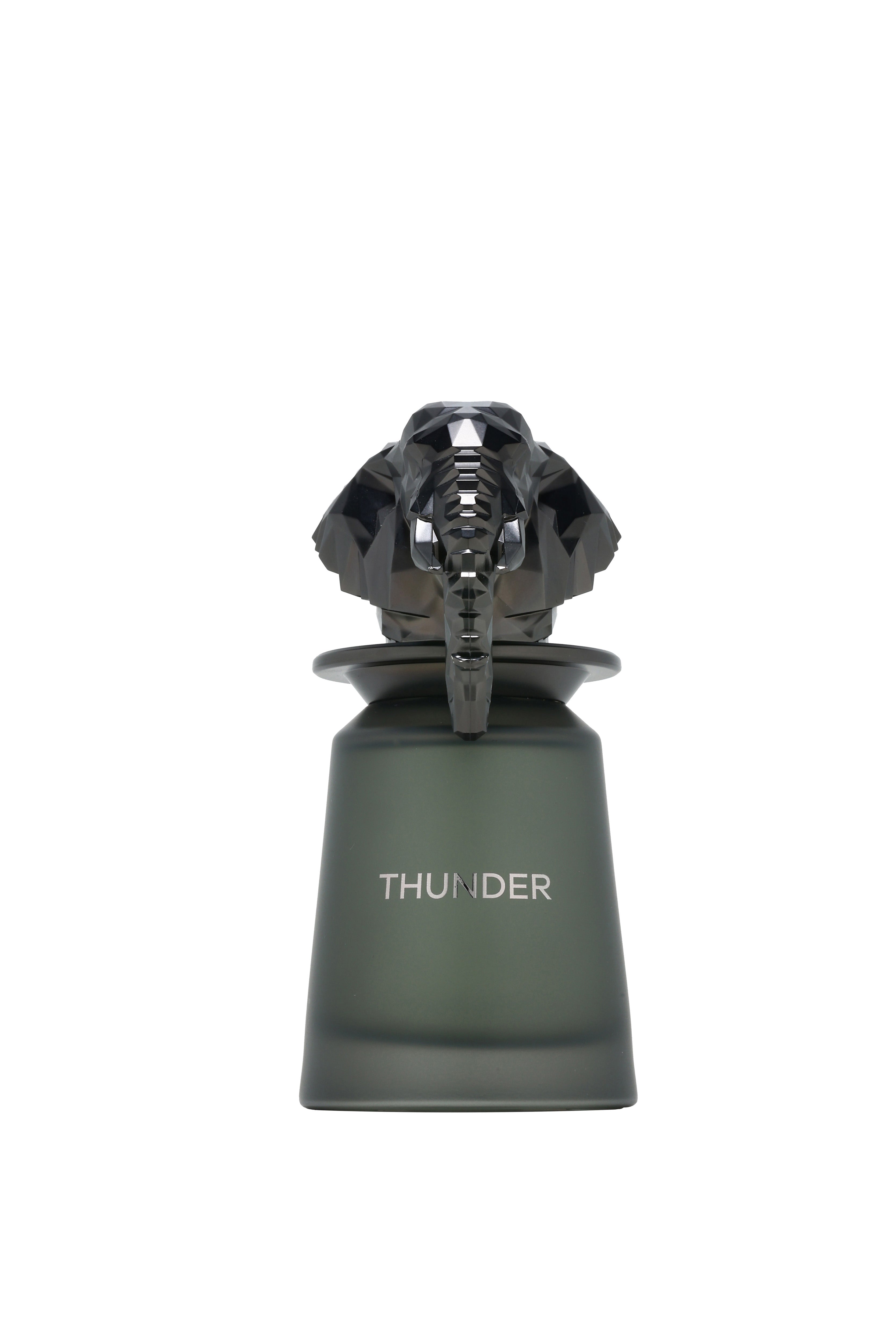 French Avenue Thunder Eau de Parfum 100 ml – parfymflaska