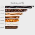 Fragrance accords infographic