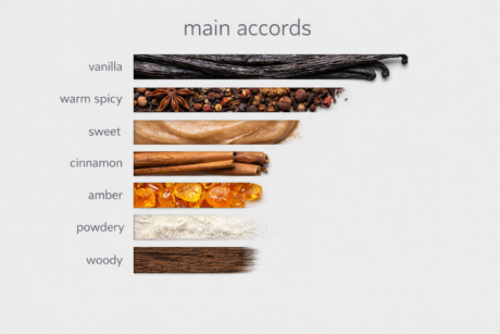 Fragrance accords infographic