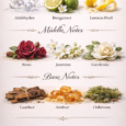 Perfume notes infographic with vintage ingredients